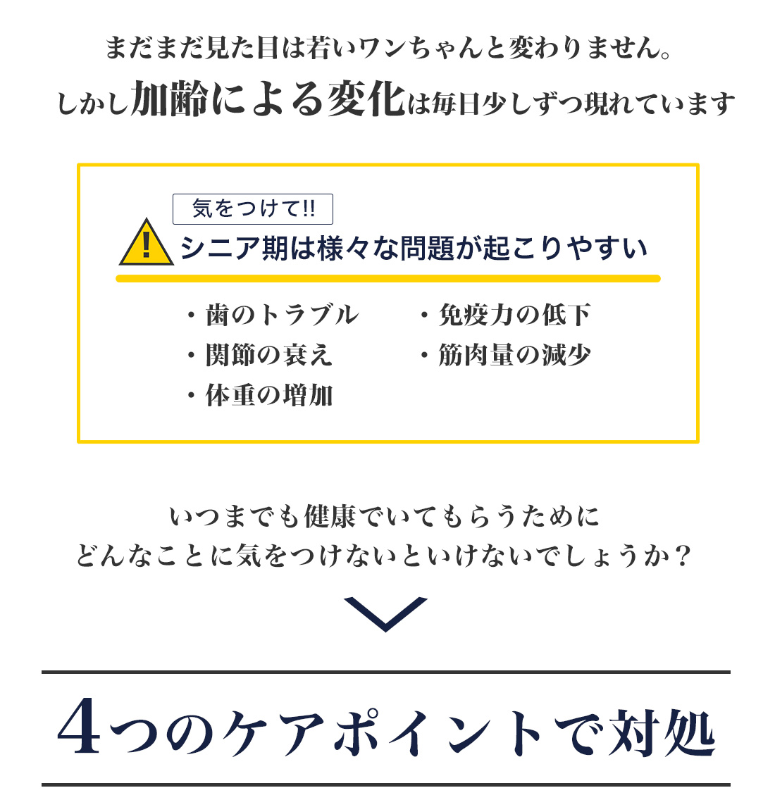 ���[�J�k�o�̂������2