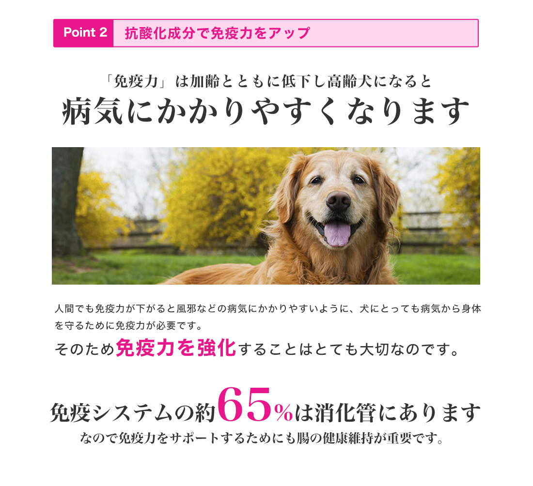 ���[�J�k�o�̂������4