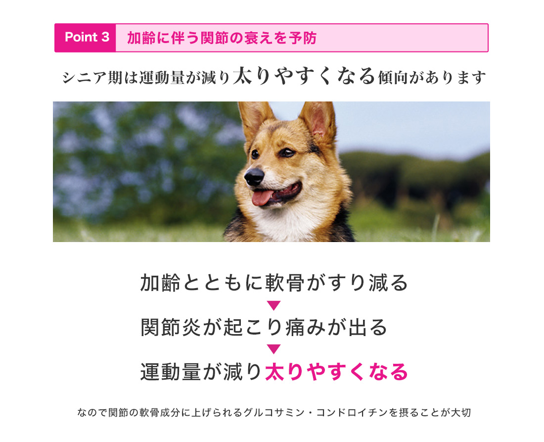 ���[�J�k�o�̂������5