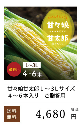 �ÁX�������p