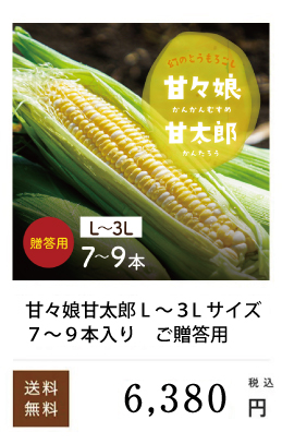 �ÁX�������p