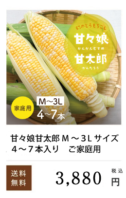 �ÁX���ƒ�p