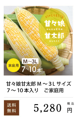 �ÁX���ƒ�p