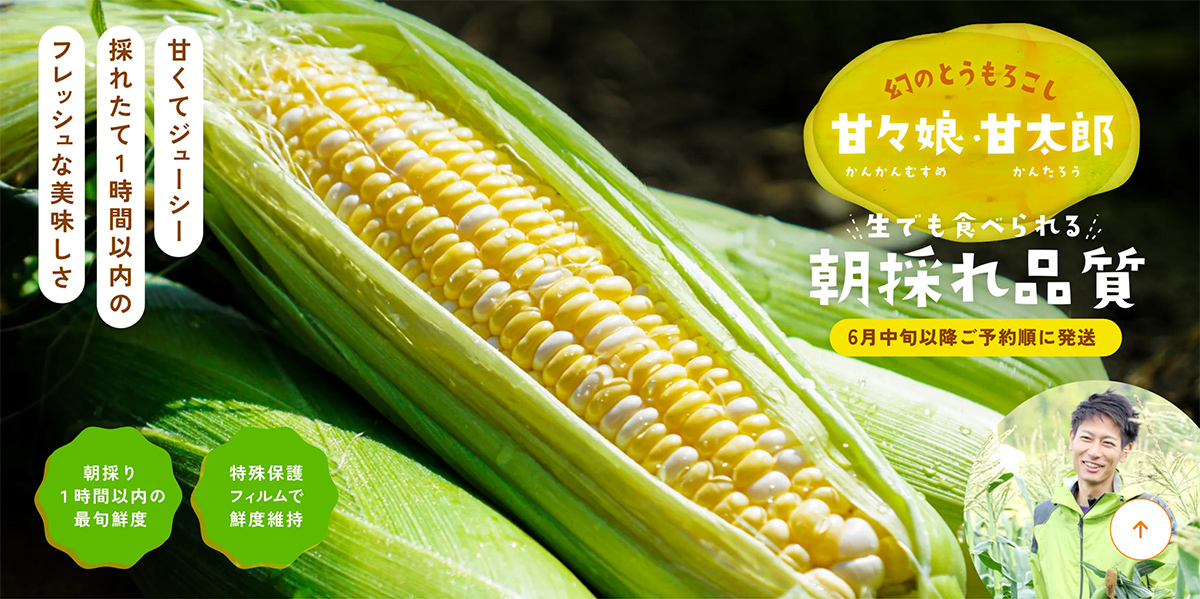 �ÁX���E�Ñ��Y