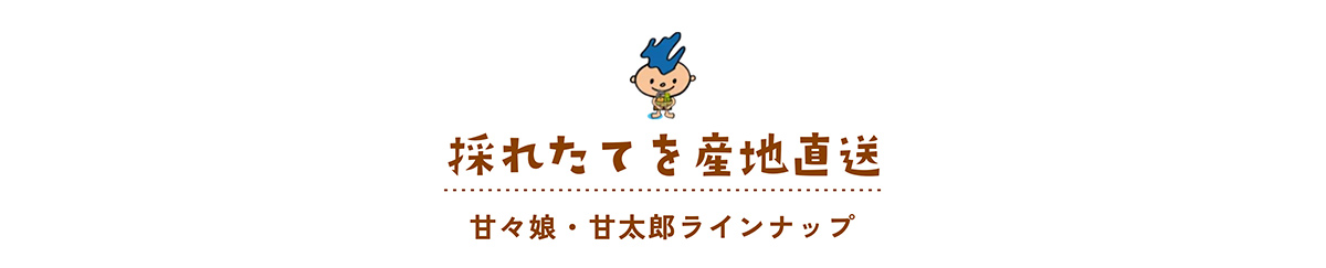 �ÁX���E�Ñ��Y���C���i�b�v