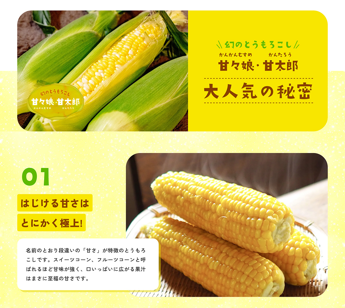 �ÁX���Ñ��Y�l�C�̔閧