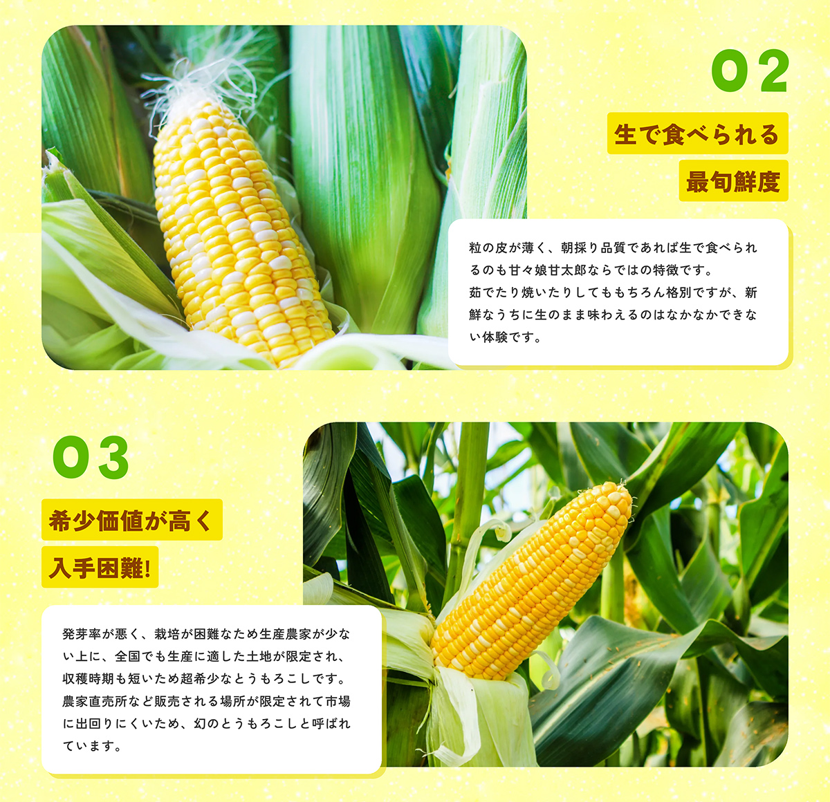 �ÁX���Ñ��Y�l�C�̔閧