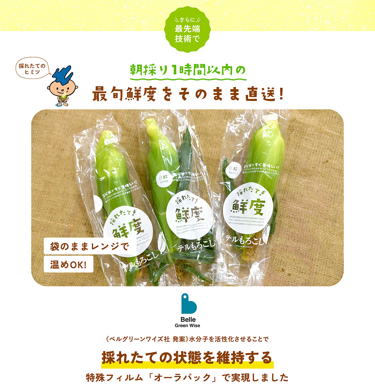 �ÁX���Ñ��Y�͌