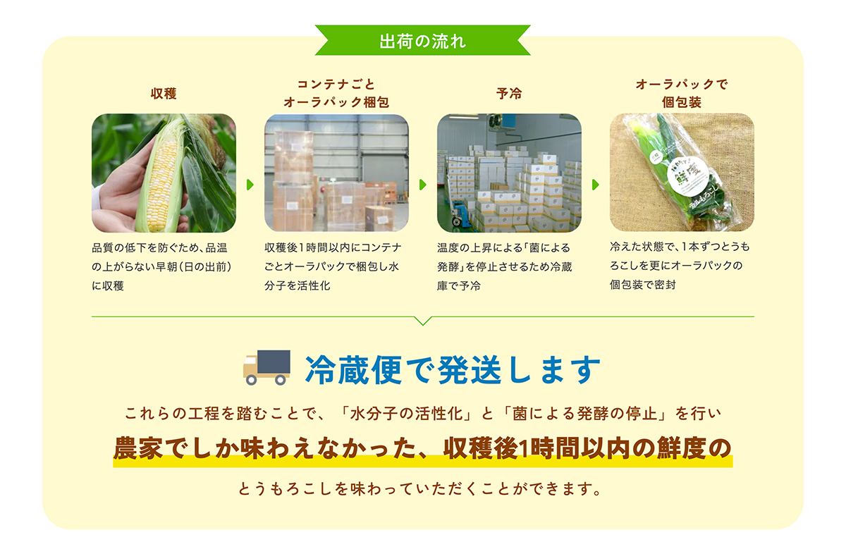 �ÁX���Ñ��Y�͑N�x�ێ��t�B�����ł��͂�