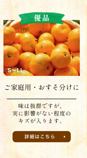 三ヶ日みかん早生-優品-