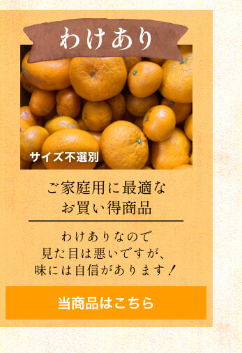 三ヶ日みかん早生-訳あり-