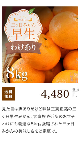 三ヶ日みかん早生-訳あり8kg-