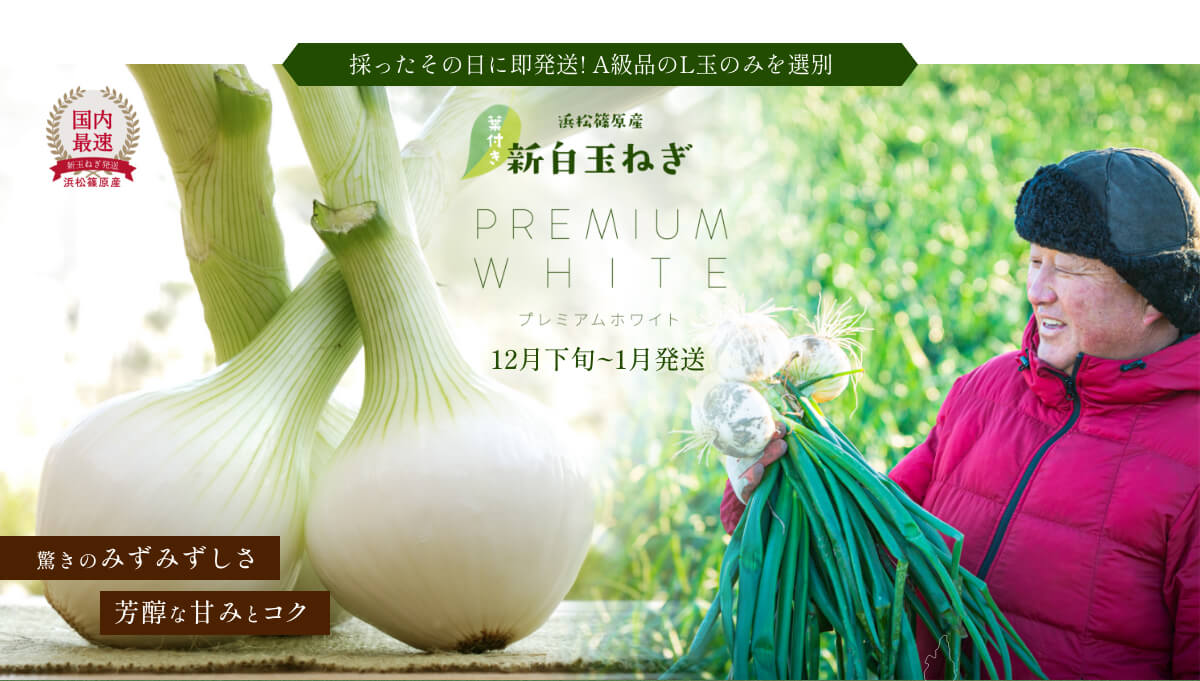 �t�t�� �l���Y���ʂ˂�