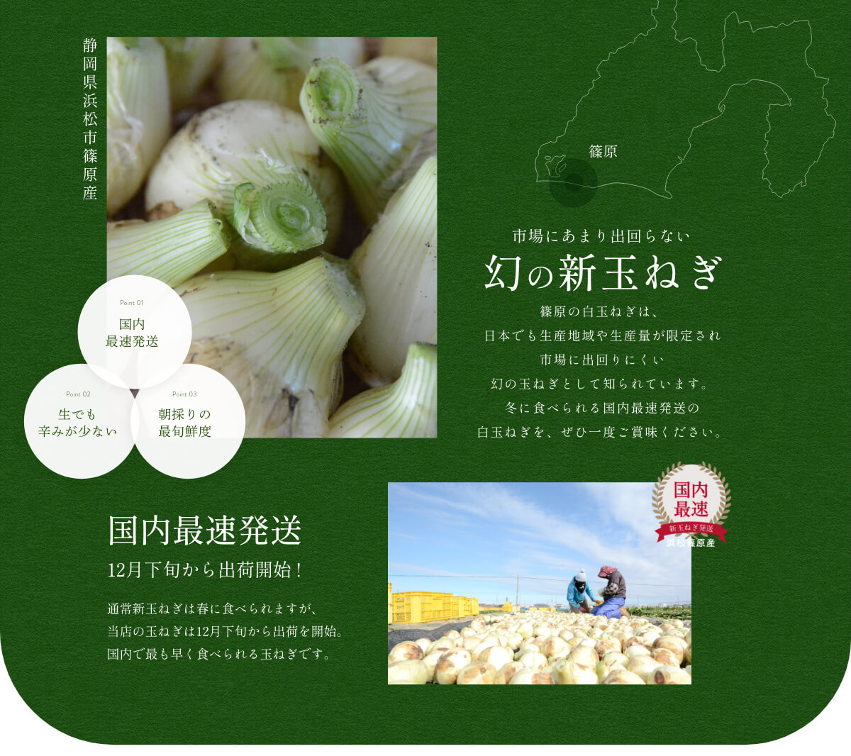 �t�t�� �l���Y���ʂ˂�