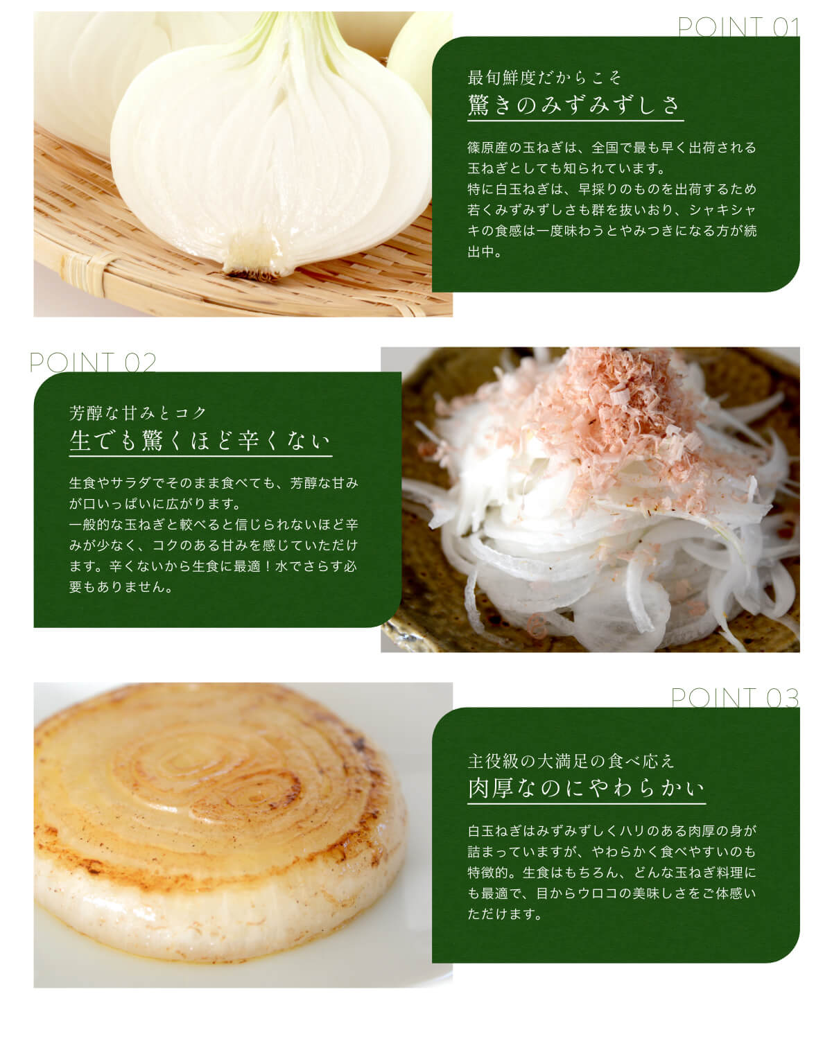 �t�t�� �l���Y���ʂ˂�