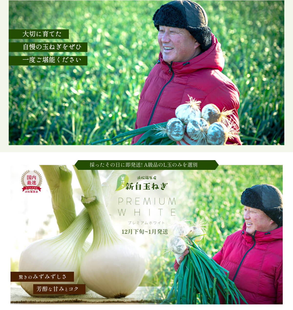 �t�t�� �l���Y���ʂ˂�