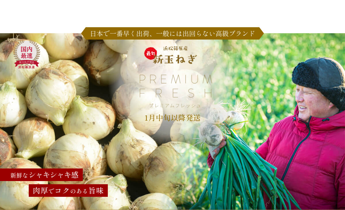  �l���Y�V�ʂ˂�