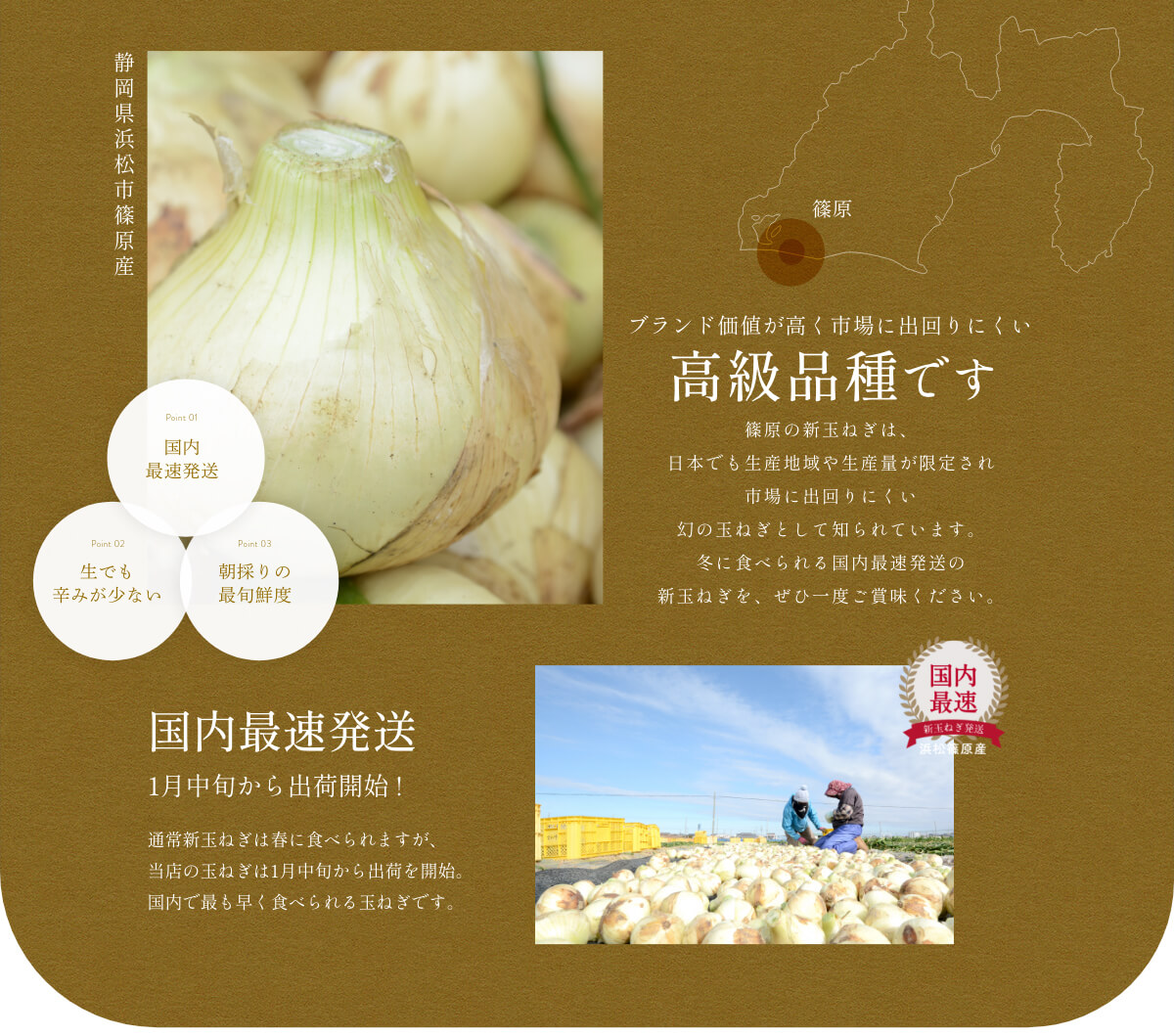  �l���Y�V�ʂ˂�