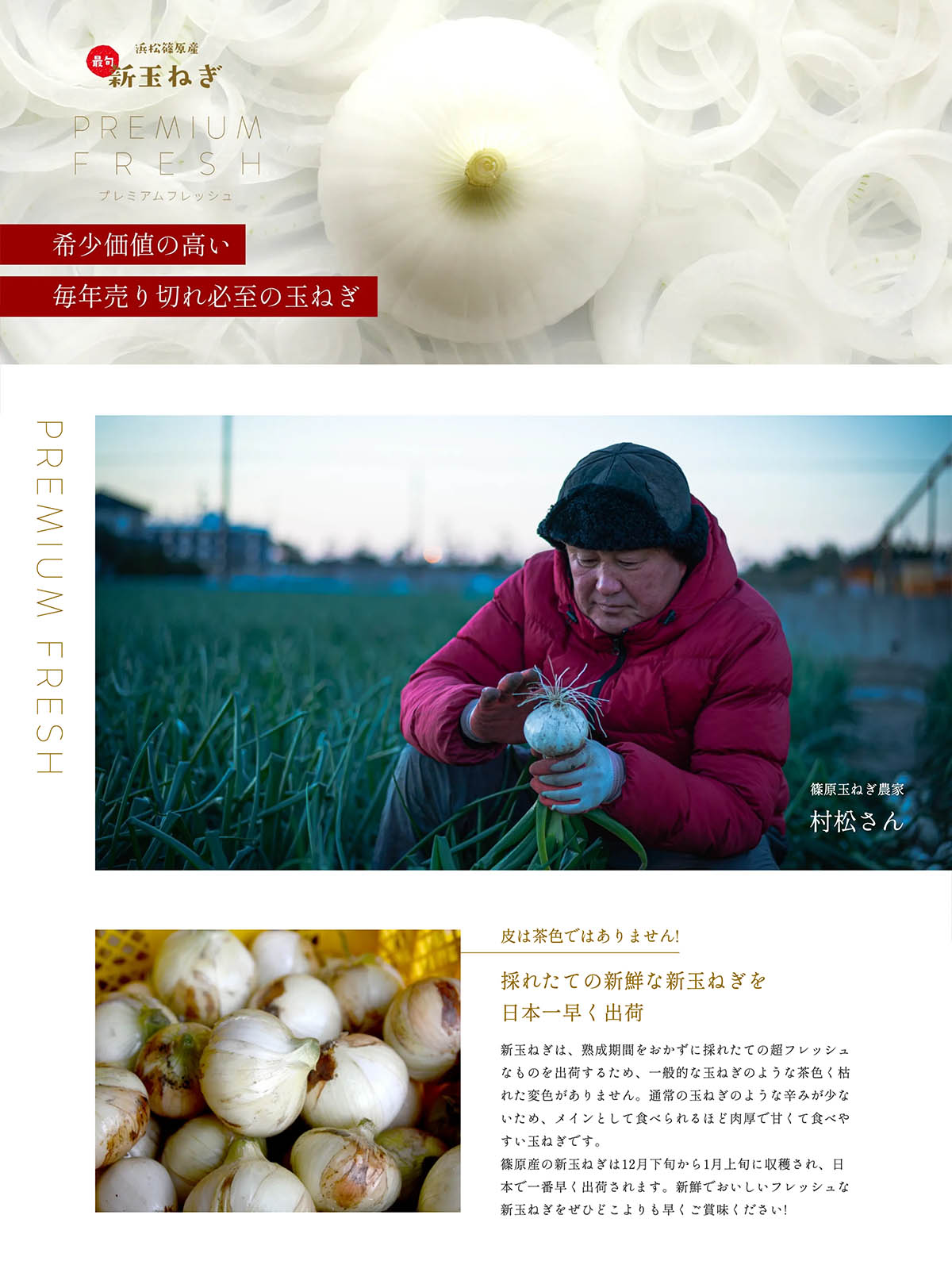  �l���Y�V�ʂ˂�