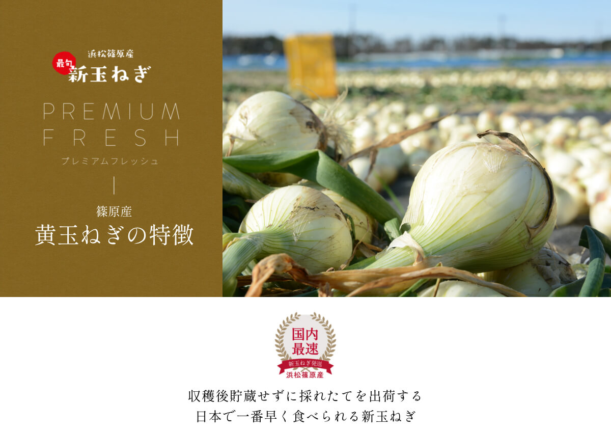  �l���Y�V�ʂ˂�