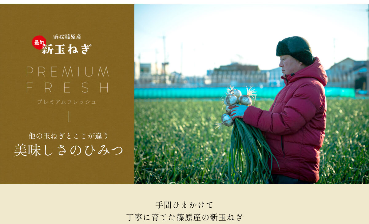  �l���Y�V�ʂ˂�