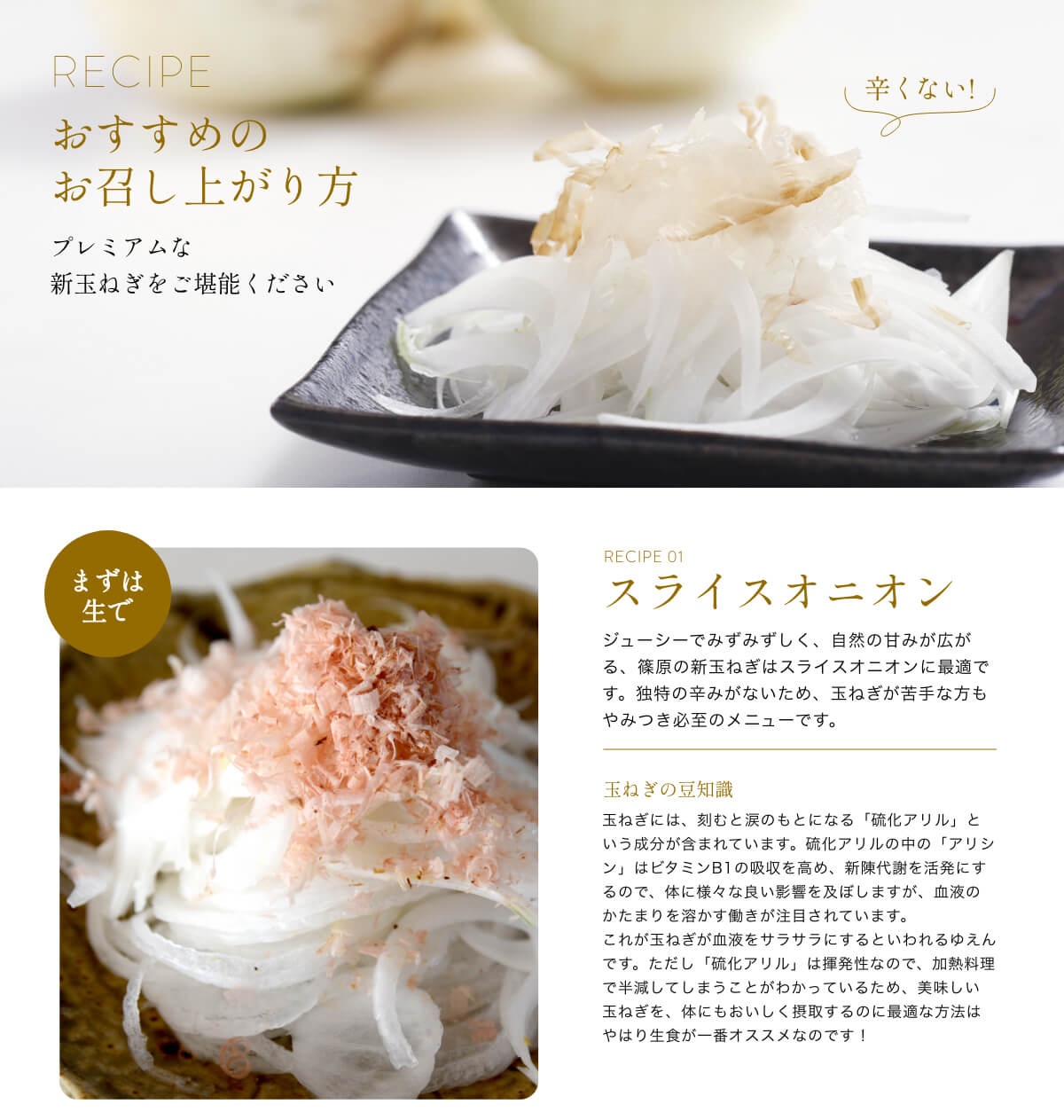  �l���Y�V�ʂ˂�