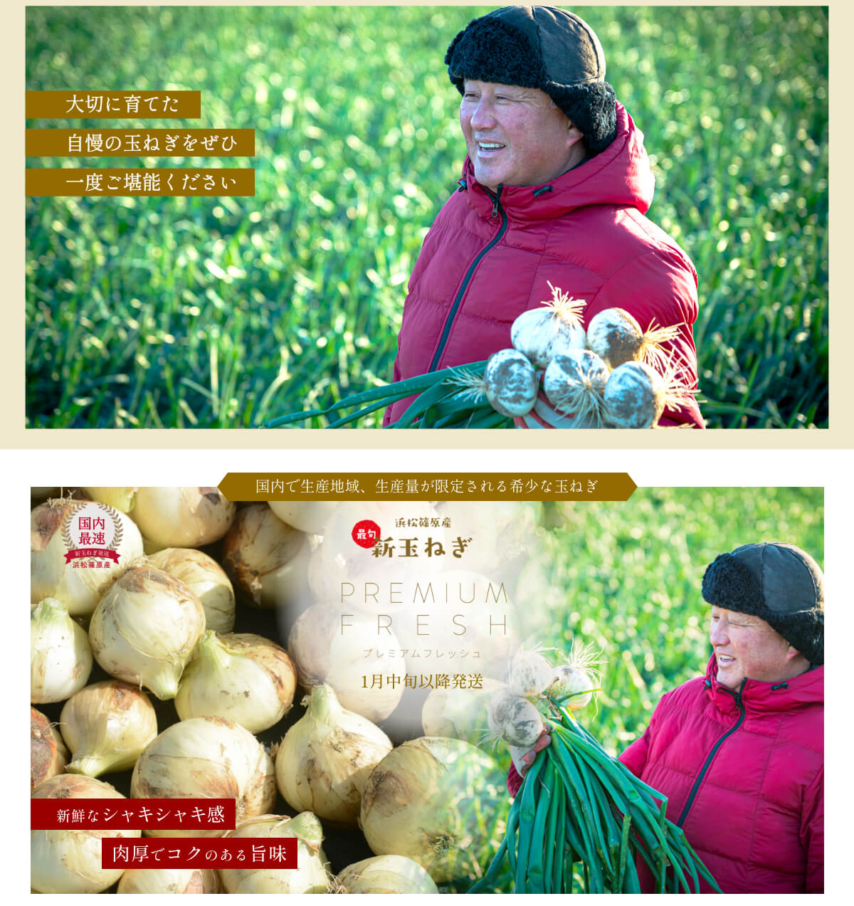  �l���Y�V�ʂ˂�