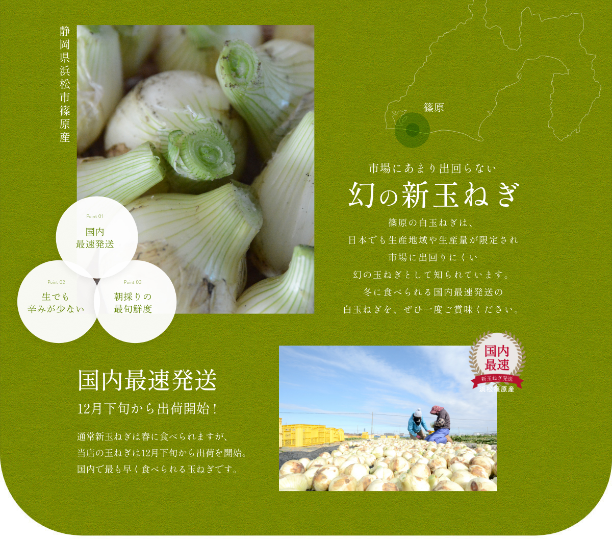  �l���Y���ʂ˂�