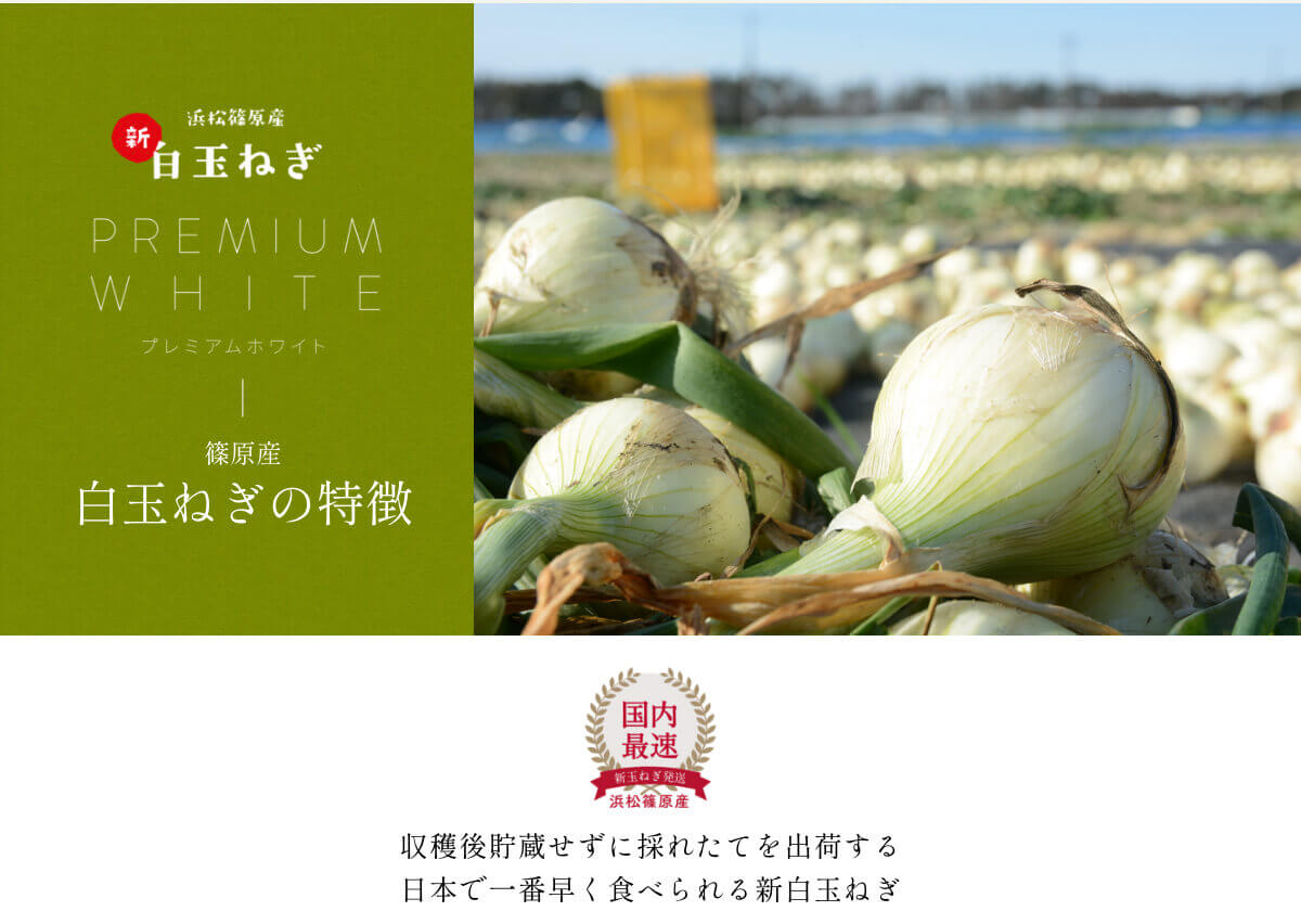  �l���Y���ʂ˂�