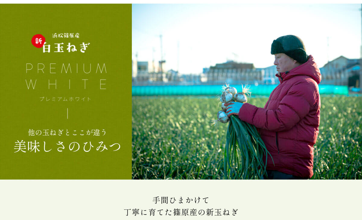  �l���Y���ʂ˂�