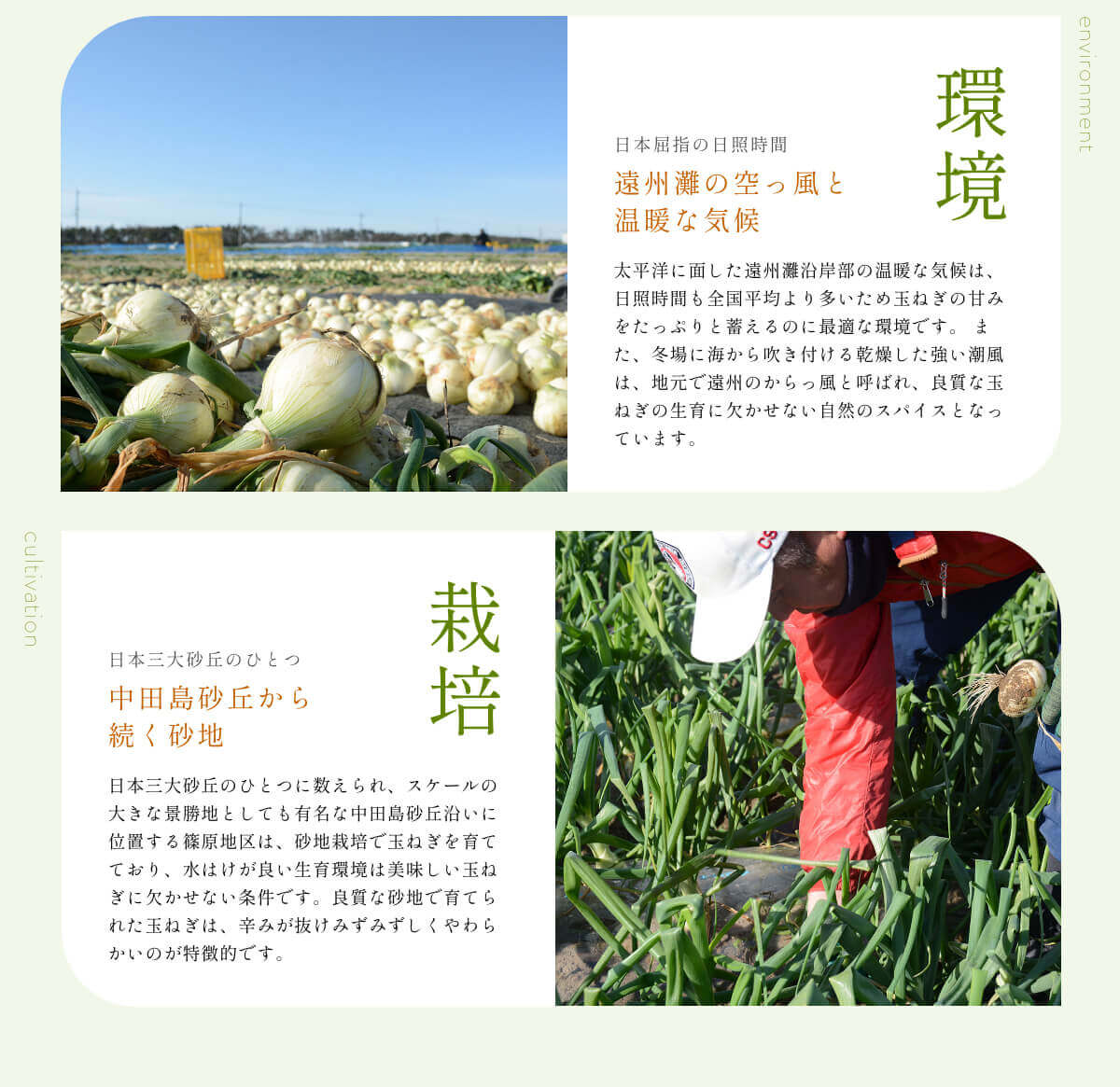  �l���Y���ʂ˂�