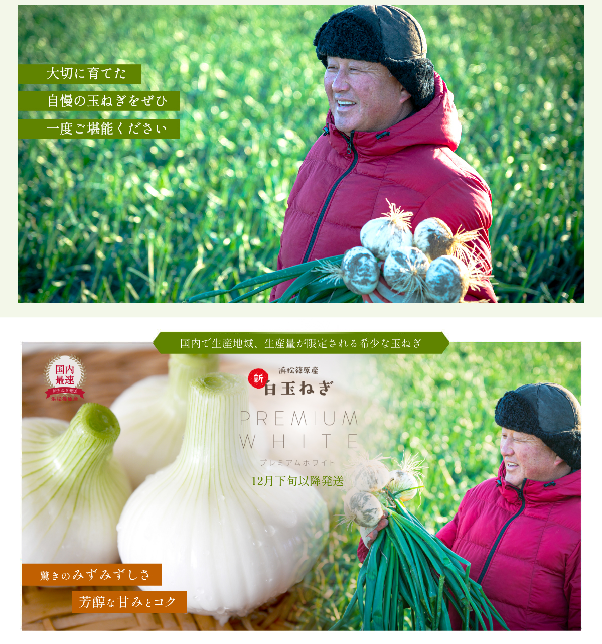  �l���Y���ʂ˂�