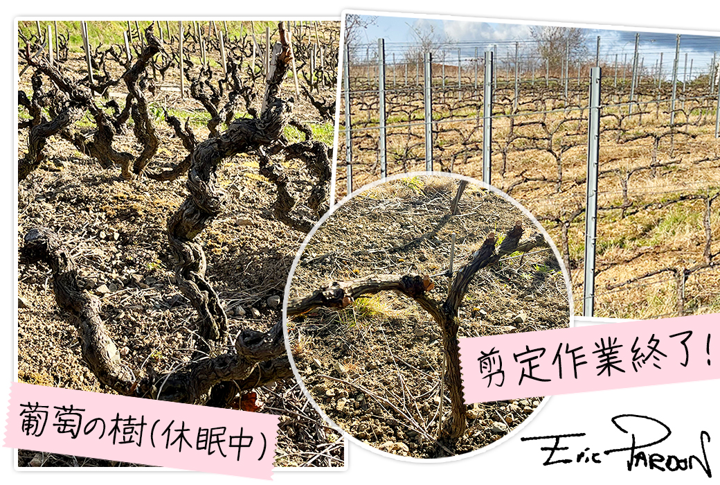 �{�W�����[�E�k�[���H�[