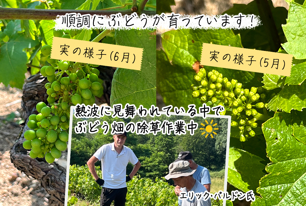 �{�W�����[�E�k�[���H�[