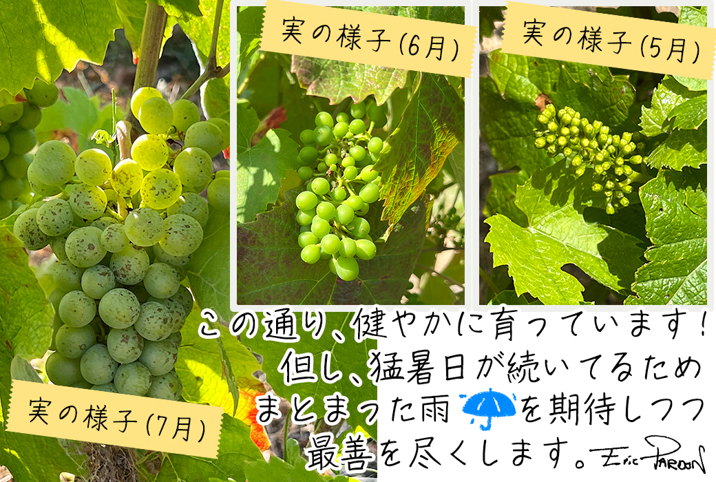 �{�W�����[�E�k�[���H�[