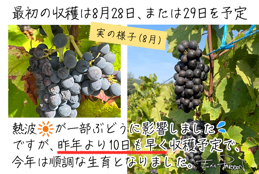 �{�W�����[�E�k�[���H�[