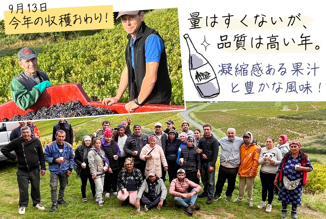 �{�W�����[�E�k�[���H�[