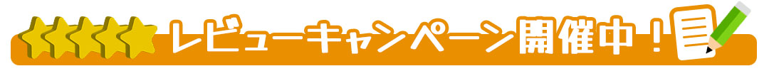 レビューキャンペーン開催中!