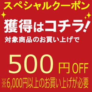 500円クーポン