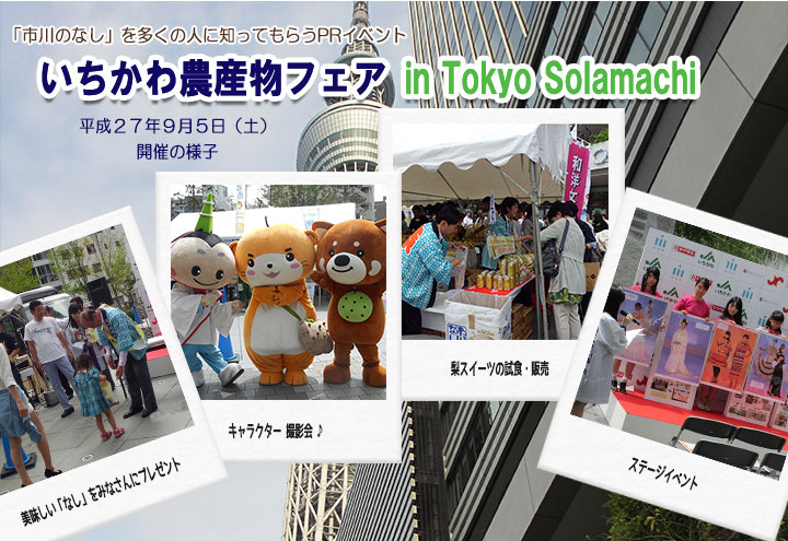 ��������_�Y���t�F�A2015