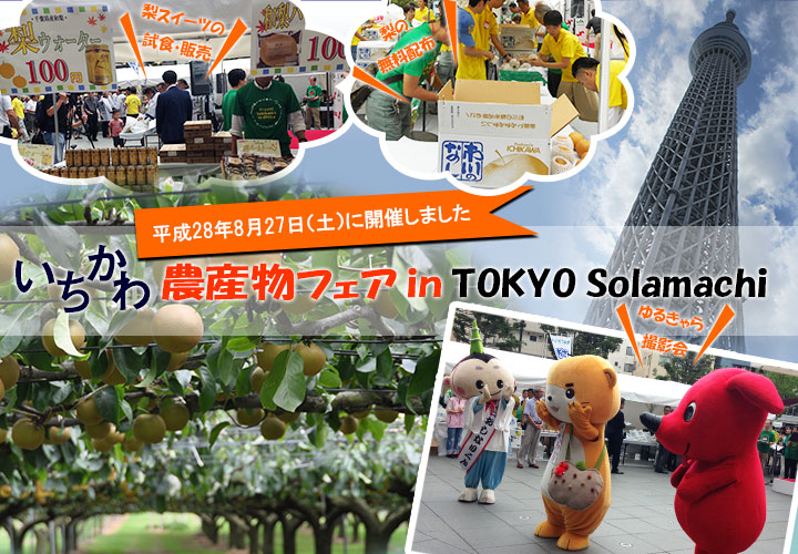 ��������_�Y���t�F�A2016