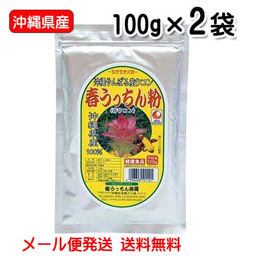 春ウコン粉 沖縄県産 春うっちん粉 100g入り×2袋 メール便発送 送料無料 うっちん沖縄 うこん 粉末 沖縄 精油成分 フラボノイド カンフ