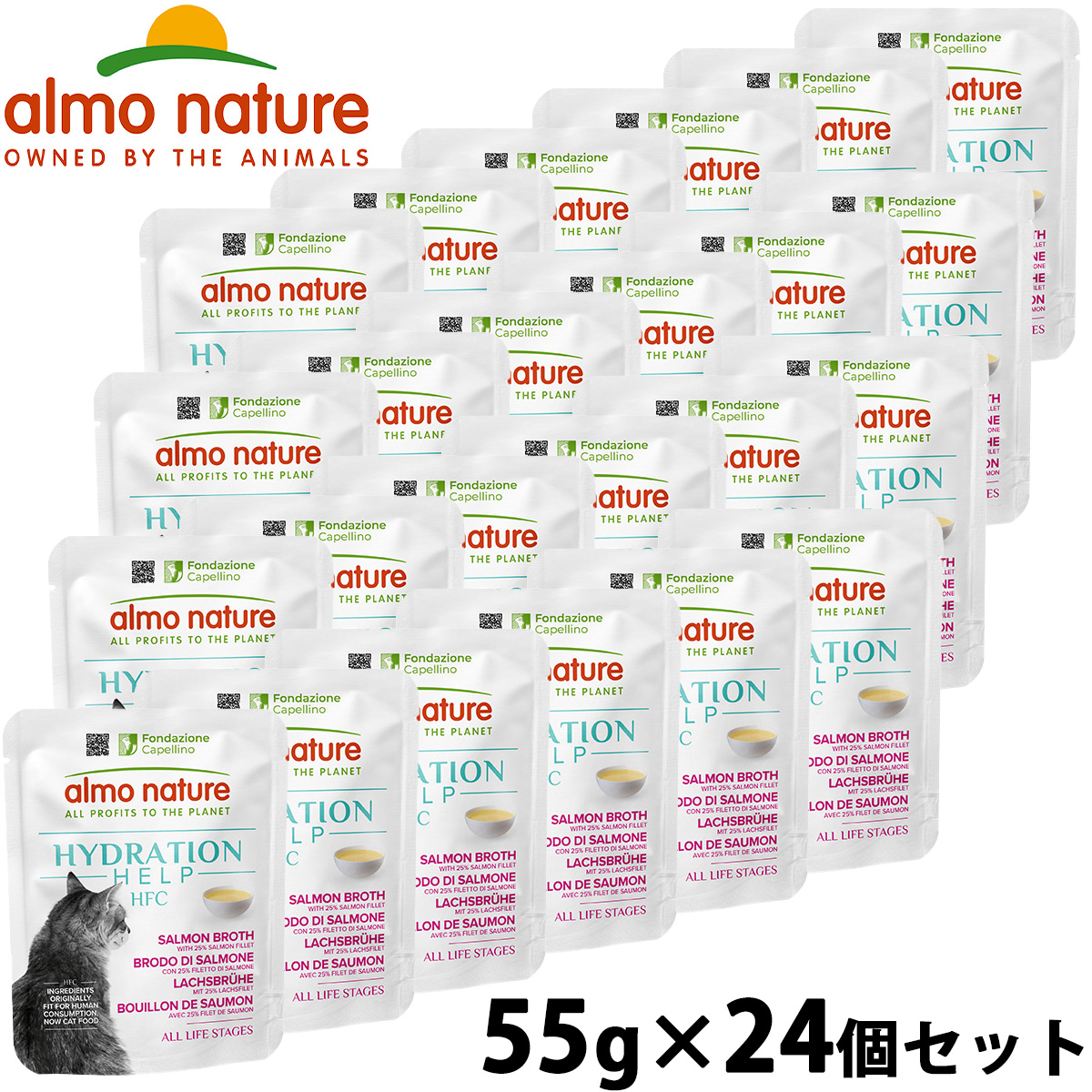 アルモネイチャー almo natuer キャットフード ウェットフード HFC ハイドレーションヘルプ(水分補給) サーモンフィレ入りサーモンスープ 55g×24個セット