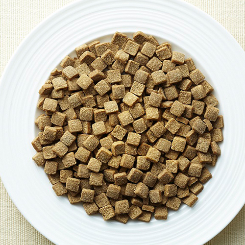 ユーグリーン ドッグフード 機能性総合栄養食 フィッシュ 120g