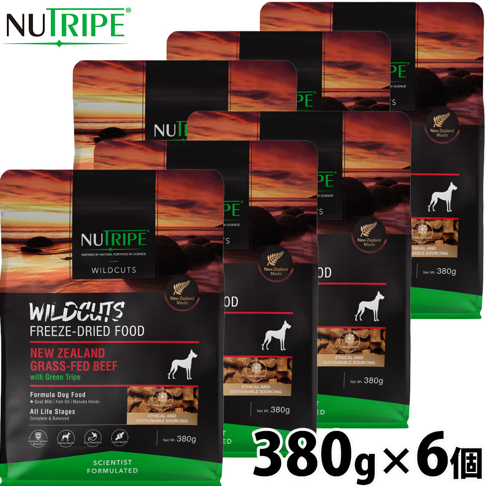 ニュートライプ NUTRIPE ドッグフード  ワイルドカット フリーズドライ ビーフwithグリーントライプ 380g×6個