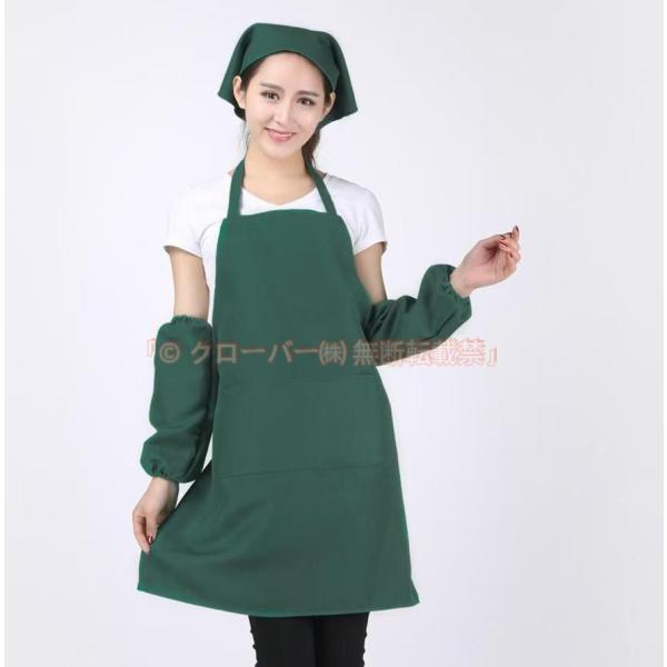 エプロン 三角巾 2点セット 大人 レディース メンズ 無地 クローバー株式会社 おしゃれ シンプル 全12色 可愛い 訳あり品 B品F