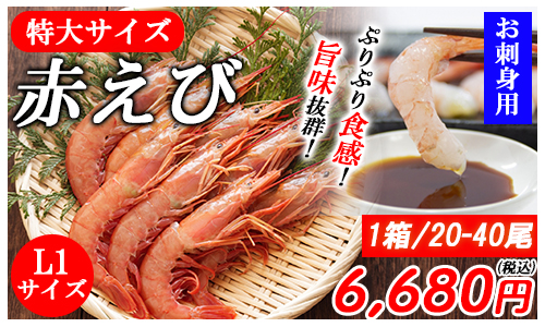 赤エビ