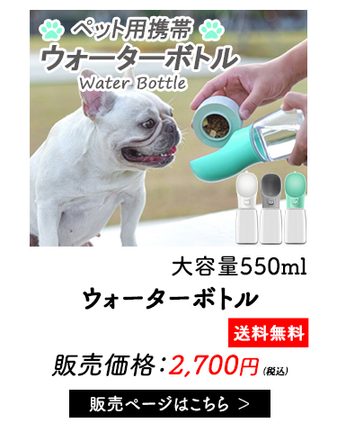 �y�b�g����