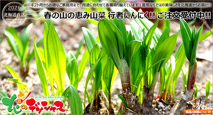 北海道産 天然 山菜 各種