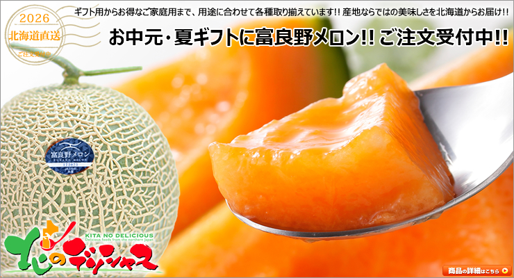 北海道産 富良野メロン